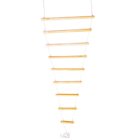 Vestibular rope ladder